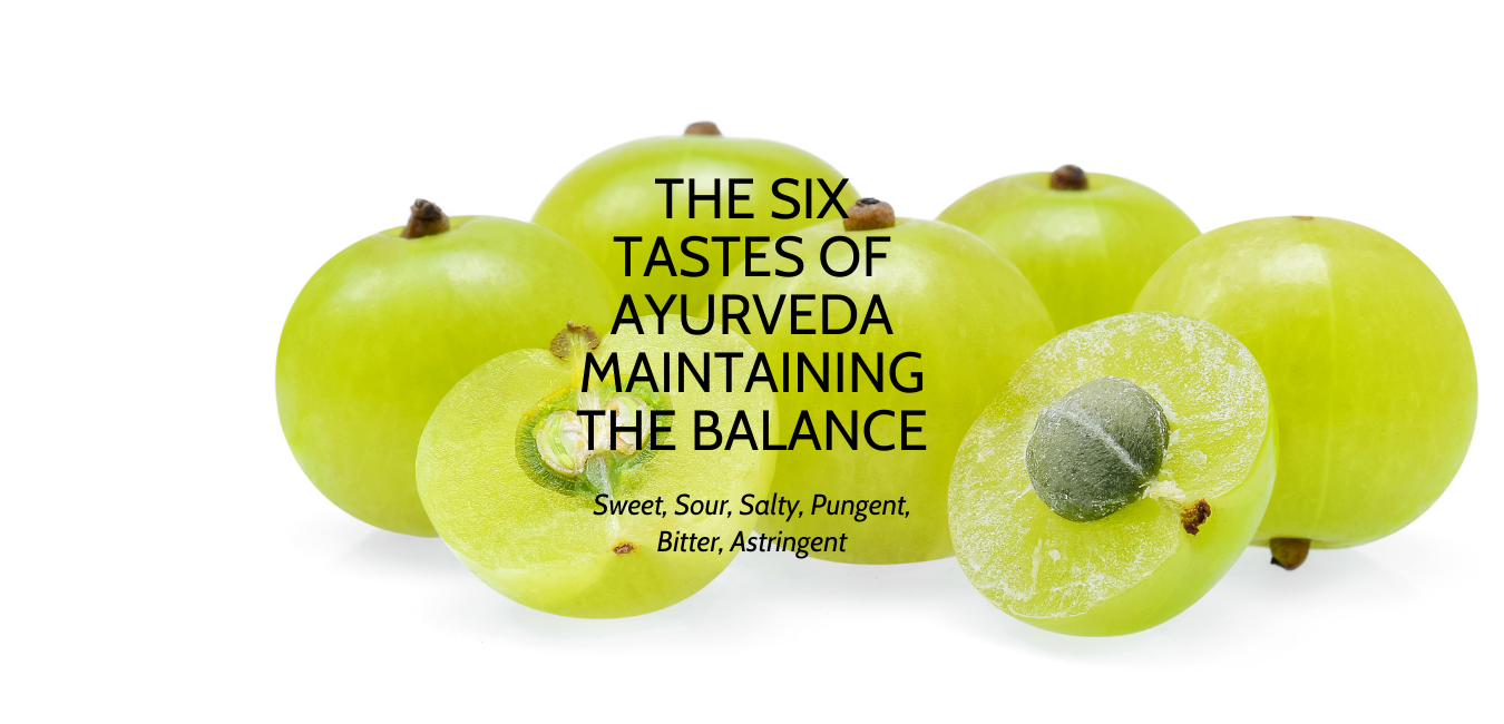 Ayurveda Consultation