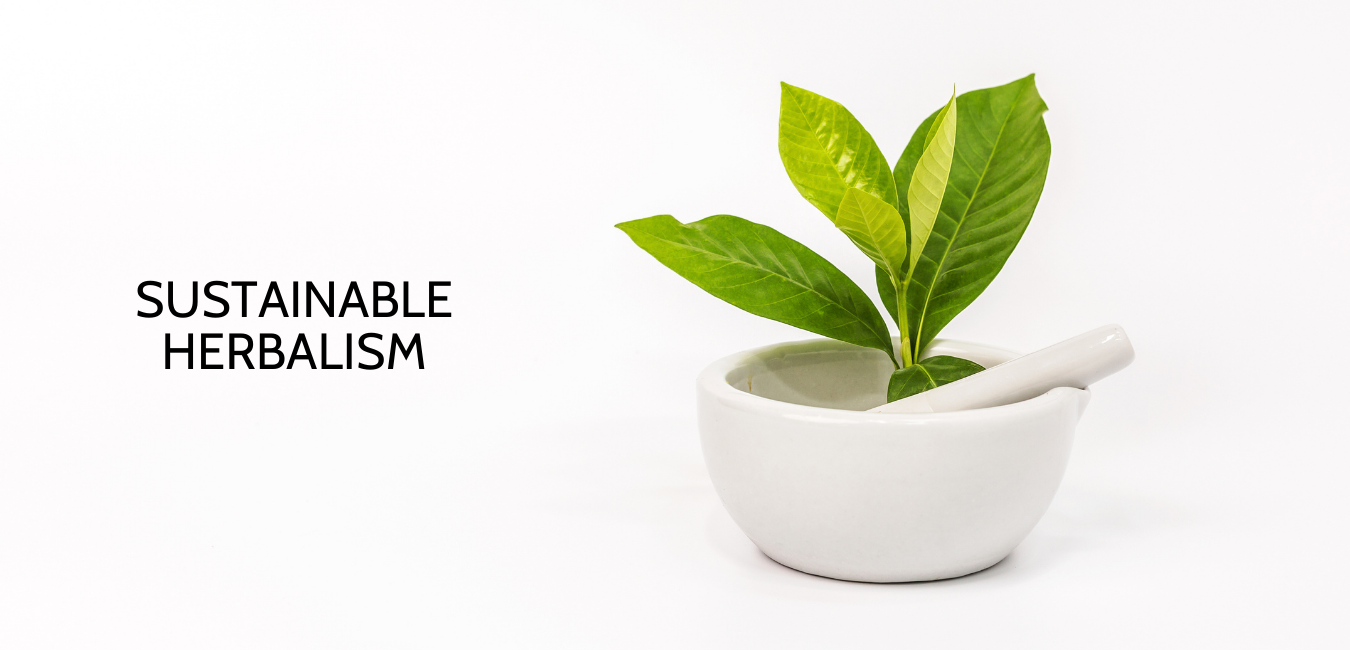 Ayurveda Consultation