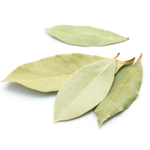 Bay Leaf