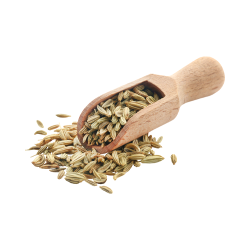 Whole Fennel